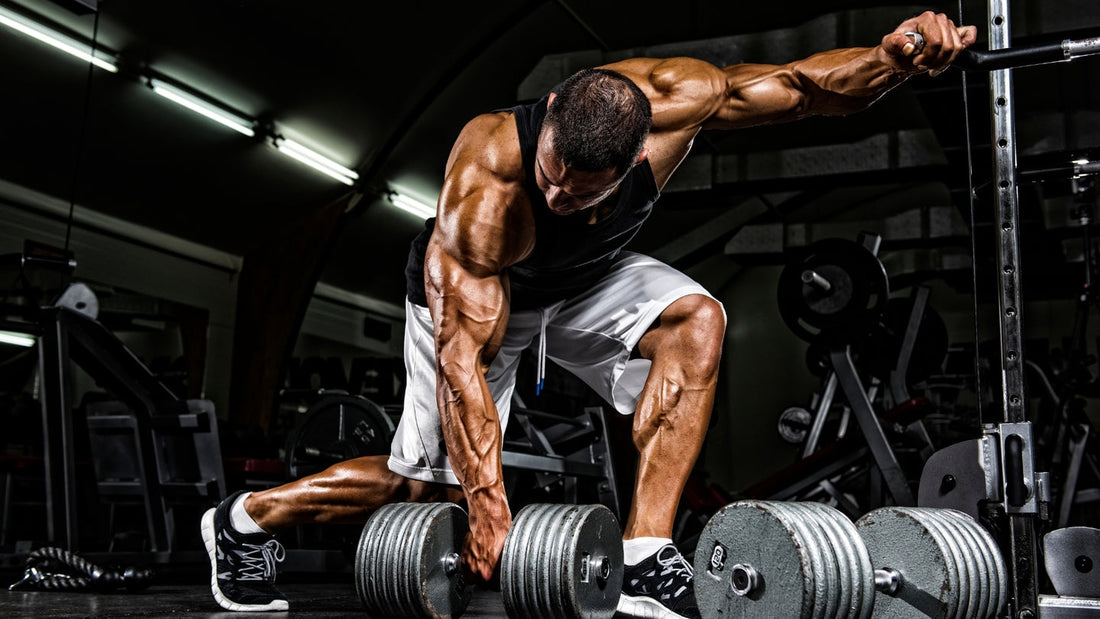 How to Properly Fuel for Workouts: Maximize Performance & Recovery