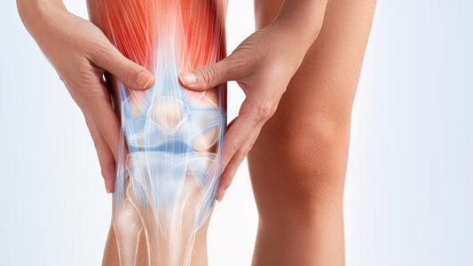 Supplements for Joint Health and Muscle Recovery